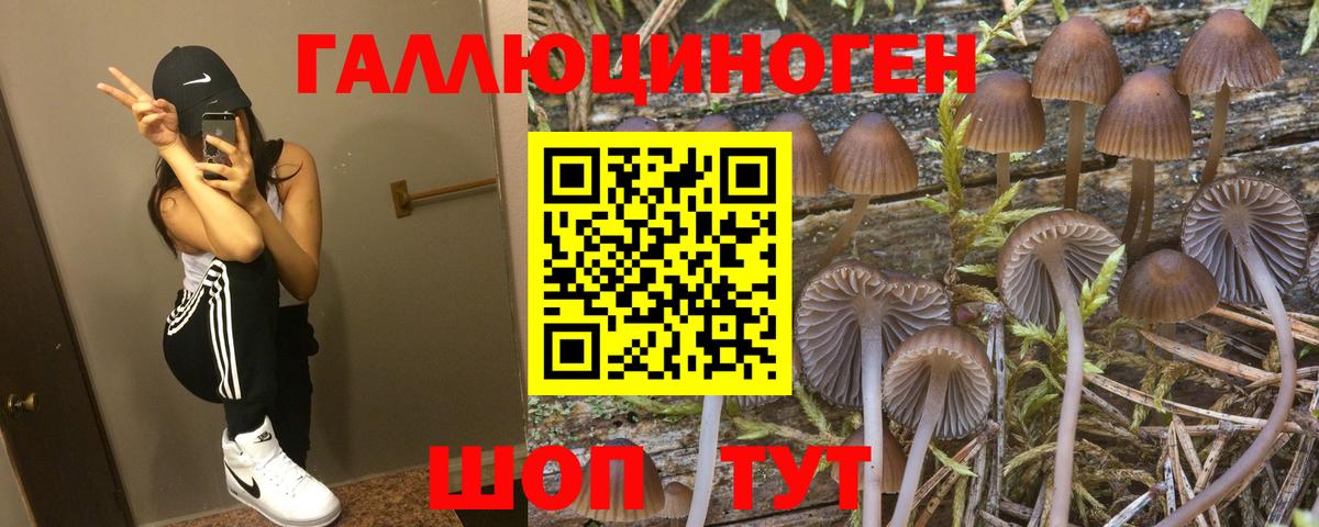 Усинск  Псилоцибиновые грибы Psilocybine cubensis  Вход с VPN  Галлюциногенные грибы ЛСД 