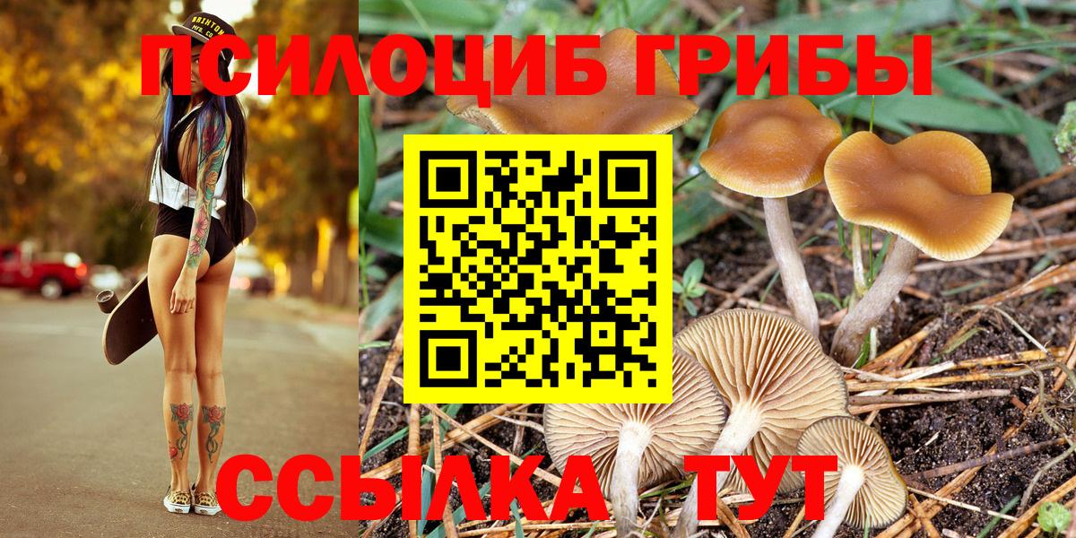 Галлюциногенные грибы Magic Shrooms Усинск